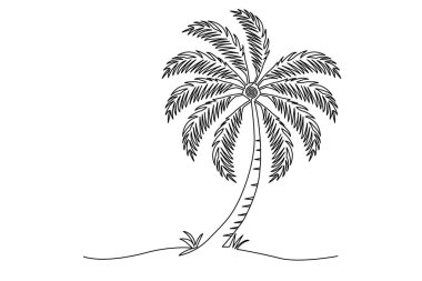 Plam ağacının, vektör illüstrasyon tasarımı ile aralıksız çizimi