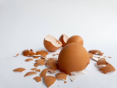 Beyaz arka planda izole edilmiş tavuk yumurtası parçaları var.