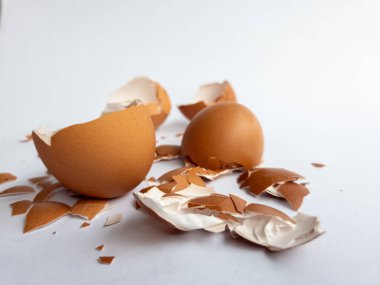 Beyaz arka planda izole edilmiş tavuk yumurtası parçaları var.