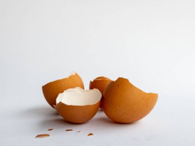 Beyaz arka planda izole edilmiş tavuk yumurtası parçaları var.