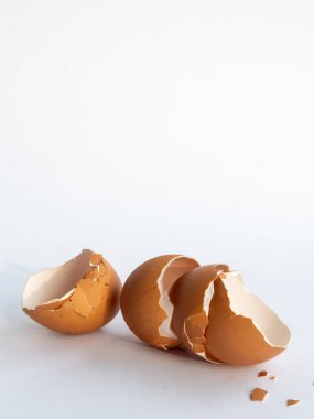 Beyaz arka planda izole edilmiş tavuk yumurtası parçaları var.