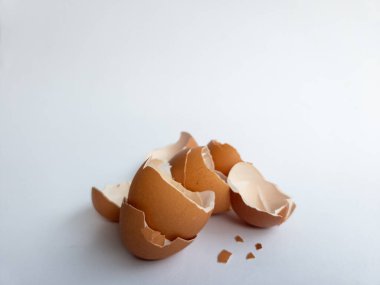 Beyaz arka planda izole edilmiş tavuk yumurtası parçaları var.