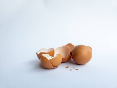 Beyaz arka planda izole edilmiş tavuk yumurtası parçaları var.