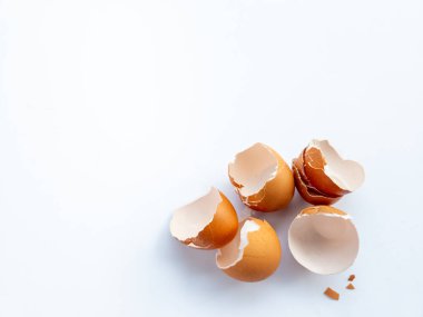 Beyaz arka planda izole edilmiş tavuk yumurtası parçaları var.