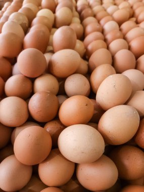 Ahırda satılan bir yığın yumurta..