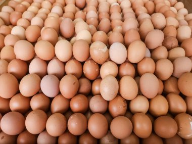 Ahırda satılan bir yığın yumurta..