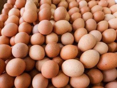 Ahırda satılan bir yığın yumurta..