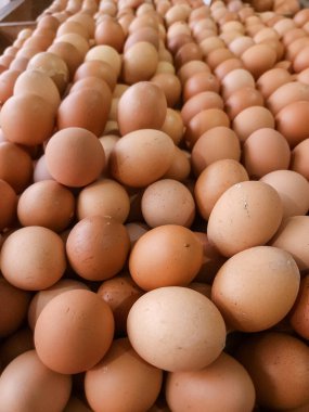 Ahırda satılan bir yığın yumurta..
