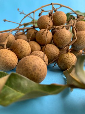 Bir grup Longan (Dimocarpus longan) açık mavi arka planda izole edilmiş meyveler