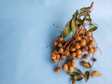 Açık mavi bir arka planda izole edilmiş bir rattan sepetinde bir demet longan meyvesi (Dimocarpus longan)