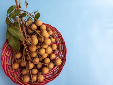 Açık mavi bir arka planda izole edilmiş bir rattan sepetinde bir demet longan meyvesi (Dimocarpus longan)