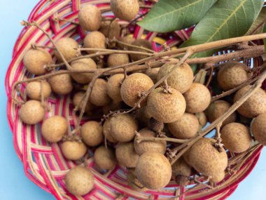 Açık mavi bir arka planda izole edilmiş bir rattan sepetinde bir demet longan meyvesi (Dimocarpus longan)
