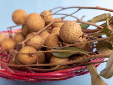 Açık mavi bir arka planda izole edilmiş bir rattan sepetinde bir demet longan meyvesi (Dimocarpus longan)