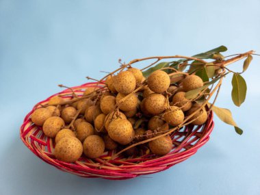 Açık mavi bir arka planda izole edilmiş bir rattan sepetinde bir demet longan meyvesi (Dimocarpus longan)