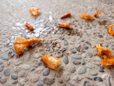 Arta kalan karides kabukları yere saçılmış.