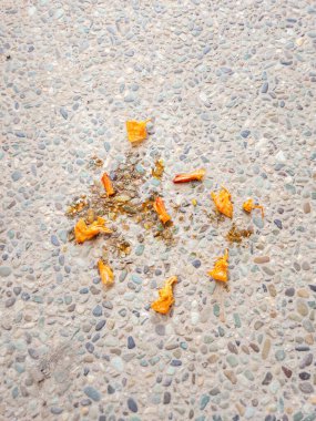 Arta kalan karides kabukları yere saçılmış.