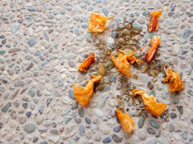 Arta kalan karides kabukları yere saçılmış.