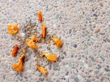 Arta kalan karides kabukları yere saçılmış.