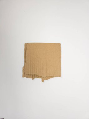 Yırtık bir karton parçasının beyaz bir arka plana yakın çekim çekimi. Karton doğal kahverengi bir renk ve yırtık kenarlar kıvrımlı iç kısmı ortaya çıkarıyor. Görüntü iyi ışıklandırılmış ve bir sürü kopya alanı var.