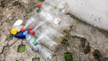 Kullanılmış plastik şişelerden oluşan bir yığın yıpranmış beton bir yüzeye atılır. Görüntü, plastik atıkların etkisini gösteren çevresel kaygıları vurguluyor. Şişe kapaklarının yanı sıra çeşitli boyut ve renkler görünür. Yeşillik bakıyor