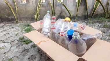 Çeşitli plastik şişelerle dolu, geri dönüşüme hazır bir karton kutu. Şişeler temiz, farklı renkte kapakları var. Kutu dışarıda taştan bir yüzeyde duruyor, yeşillik ve arka planda bir duvar var. Görüntü, çevre kavramını iletir
