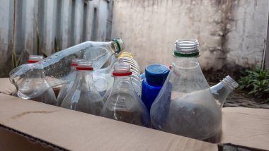 Yakın çekim, geri dönüşüme hazır çeşitli temiz plastik şişelerle dolu bir karton kutuyu gösteriyor. Şişelerin farklı renkli kapakları ve şekilleri var. Sahne dışarıda, beton bir duvar ve arka planda yeşillik var.
