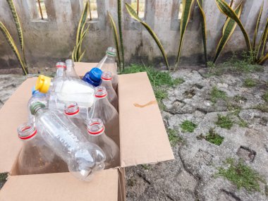 Çeşitli plastik şişelerle dolu, geri dönüşüme hazır bir karton kutu. Şişelerin farklı renkte kapakları var ve farklı boyutlarda. Kutu çimenli beton bir yüzeyde dışarıda duruyor. Sahne çevresel farkındalığı ve 