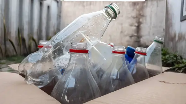 Geri dönüşüme hazır içi boş plastik şişelerle dolu bir karton kutu. Şişelerin renkli kapakları var. Görüntü, geri dönüşüm ve çevre bilincinin önemini aktarıyor. Kompozisyon basit, özellikle şişelere odaklı. Çakmak.