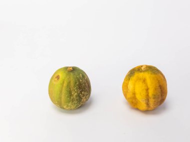 İki kurutulmuş limon, temiz beyaz bir arka planda izole edilir. Bir kireç çoğunlukla yeşil ve diğeri kahverengi işaretli sarı. Fotoğraf bir stüdyo ortamında çekiliyor, metin veya diğer tasarım elemanları için yeterli kopya alanı sunuluyor.