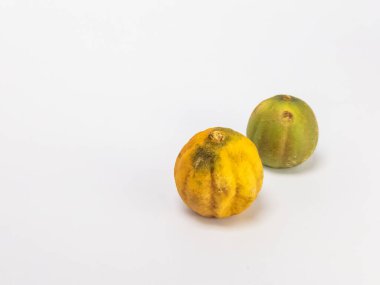 İki kurutulmuş limon, temiz beyaz bir arka planda izole edilir. Bir kireç çoğunlukla yeşil ve diğeri kahverengi işaretli sarı. Fotoğraf bir stüdyo ortamında çekiliyor, metin veya diğer tasarım elemanları için yeterli kopya alanı sunuluyor.
