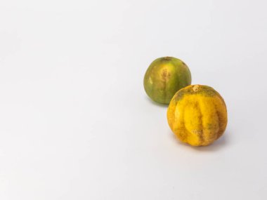 İki kurutulmuş limon, temiz beyaz bir arka planda izole edilir. Bir kireç çoğunlukla yeşil ve diğeri kahverengi işaretli sarı. Fotoğraf bir stüdyo ortamında çekiliyor, metin veya diğer tasarım elemanları için yeterli kopya alanı sunuluyor.