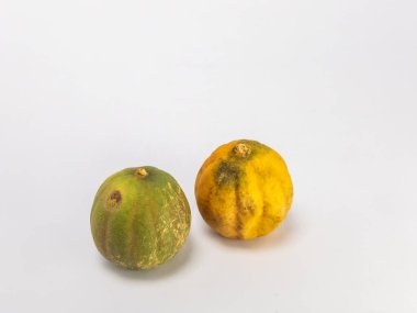 İki kurutulmuş limon, temiz beyaz bir arka planda izole edilir. Bir kireç çoğunlukla yeşil ve diğeri kahverengi işaretli sarı. Fotoğraf bir stüdyo ortamında çekiliyor, metin veya diğer tasarım elemanları için yeterli kopya alanı sunuluyor.