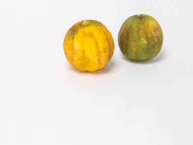 İki kurutulmuş limon, temiz beyaz bir arka planda izole edilir. Bir kireç çoğunlukla yeşil ve diğeri kahverengi işaretli sarı. Fotoğraf bir stüdyo ortamında çekiliyor, metin veya diğer tasarım elemanları için yeterli kopya alanı sunuluyor.