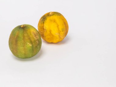 İki kurutulmuş limon, temiz beyaz bir arka planda izole edilir. Bir kireç çoğunlukla yeşil ve diğeri kahverengi işaretli sarı. Fotoğraf bir stüdyo ortamında çekiliyor, metin veya diğer tasarım elemanları için yeterli kopya alanı sunuluyor.