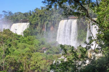 Misiones Eyaleti, Arjantin - 24 Mart 2025: Iguazu Şelalesi, Arjantin ve Brezilya sınırındaki Iguazu Ulusal Parkı 'nda yer alan dünyanın Yedi Doğal Harikası' ndan biridir..