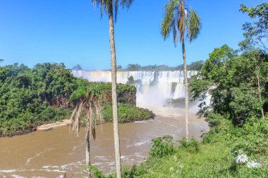 Misiones Eyaleti, Arjantin - 24 Mart 2025: Iguazu Şelalesi, Arjantin ve Brezilya sınırındaki Iguazu Ulusal Parkı 'nda yer alan dünyanın Yedi Doğal Harikası' ndan biridir..