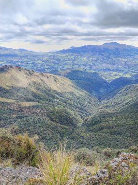 Pichincha Eyaleti, Quito, Ekvador - 5 Temmuz 2025 Pasochoa volkanı Pasochoa vahşi yaşam sığınağında yer almaktadır. 4200 metre yüksekliğinde sönmüş bir volkan..