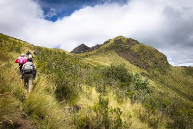 Pichincha Eyaleti, Quito, Ekvador - 5 Temmuz 2025: Yürüyüşçüler Pasochoa Volkanı 'nın zirvesine, Pasochoa Vahşi Yaşam Sığınağı' na tırmanırlar. 4200 metre yüksekliğinde sönmüş bir volkan..