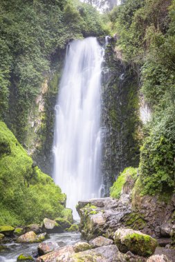 Ekvador, Otavalo 'da görkemli Peguche şelalesi. Su, And doğasının saflığını yansıtan yosun kaplı kayalar ve canlı yeşillikler arasında güçlü bir şekilde çağlar..