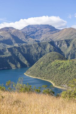 Cuicocha Lagoon in the Ecuadorian Andes, a wheat field, and in the background the majestic Cotacachi Volcano with its summit hidden among the clouds. An Andean landscape of great natural beauty.