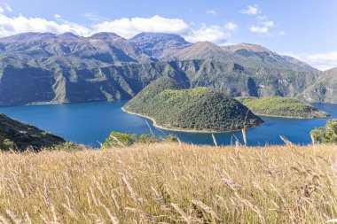 Cuicocha Lagoon in the Ecuadorian Andes, a wheat field, and in the background the majestic Cotacachi Volcano with its summit hidden among the clouds. An Andean landscape of great natural beauty.