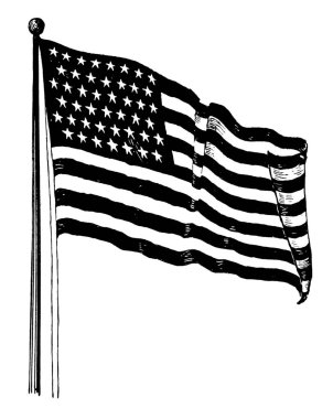 Klasik Anatomi Bilimine Referans Etkili İllüstrasyon 