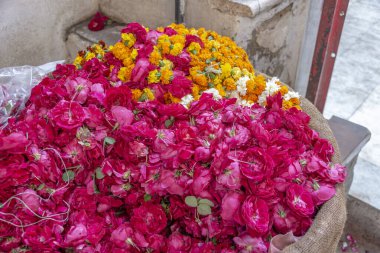 Hindistan 'ın Pushkar kentindeki hareketli bir pazarda kırmızı ve sarı güllerle dolu canlı bir çiçek tezgahı. Geleneksel bir Hint pazarında renkli ve canlı bir taze çiçek gösterisi..