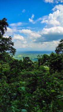 Tüylü bulutlarla güçlendirilmiş parlak mavi bir gökyüzünün altında, uzak manzaralı, yemyeşil tropikal orman manzarası. Seyahat, doğa veya çevre temalı içerik için ideal.