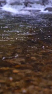 Doğal bir akıntı, berrak suların hafif dalgalanmalar yaratmasıyla sessizce akar. Güneş ışığı güzel bir şekilde yüzeye yansıyarak, konumun huzurlu atmosferini arttırır..