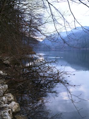 Çıplak ağaçlar ve uzak dağlarla çevrili sakin bir göl sabahın sessizliğini yansıtır. Yumuşak ışık ve sakin su doğa severler için mükemmel bir atmosfer yaratır..
