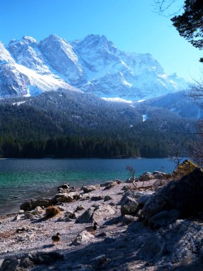 Barışçıl bir göl manzarası açık mavi gökyüzünün altındaki karlı dağları yakalar. Ördekler kayalık kıyılarda dolaşır kış güneşinin ve sakin atmosferin tadını çıkarırlar..