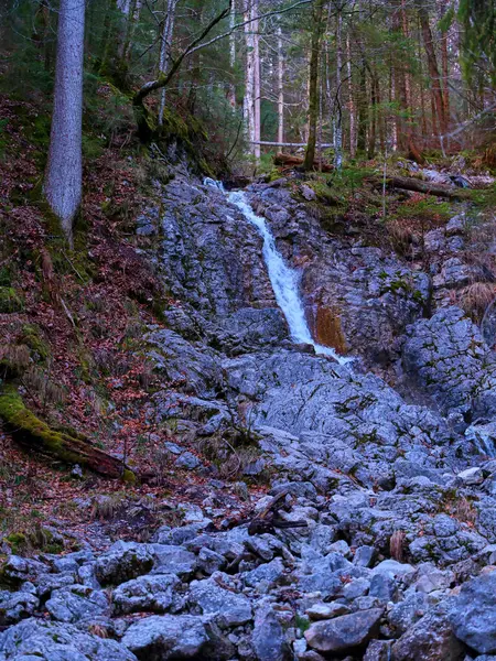 Küçük bir şelale yemyeşil bir ormanda kayaların üzerinden damlıyor. Güneş ışığı ağaçların arasından süzülür, doğal çevrenin canlı yeşilliklerini ve toprak tonlarını aydınlatır..