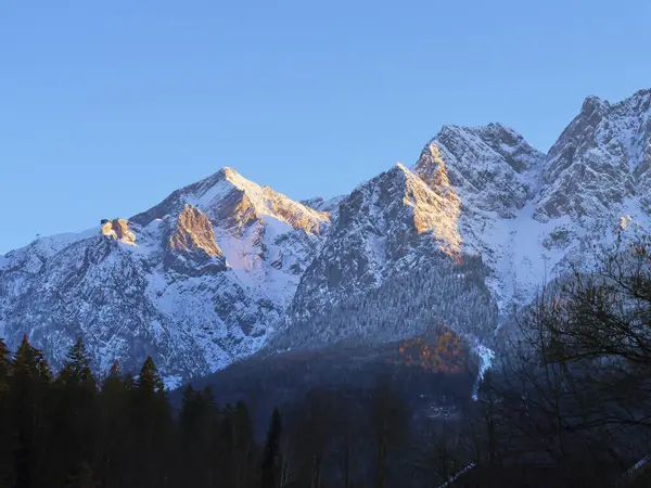 Karla kaplı zirveler, parlak mavi gökyüzünün altındaki ağaçlarla çevrili dağ sırasının üzerinden doğan güneş gibi sabahın ilk ışıklarını yansıtır..