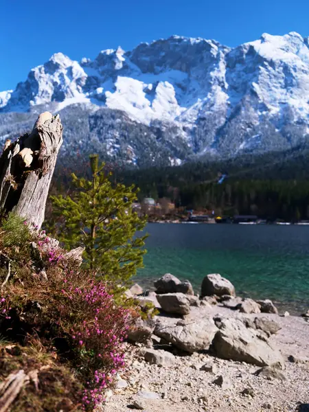 Dağlar arka planda görkemli bir şekilde yükseliyor ve berrak göle yansıyor. Bereketli yeşillik ve canlı çiçekler kayalık kıyı şeridini süsler, huzurlu bir doğal ortam yaratır..